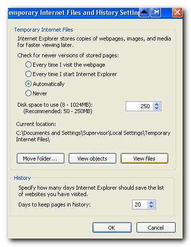 IE View Cache