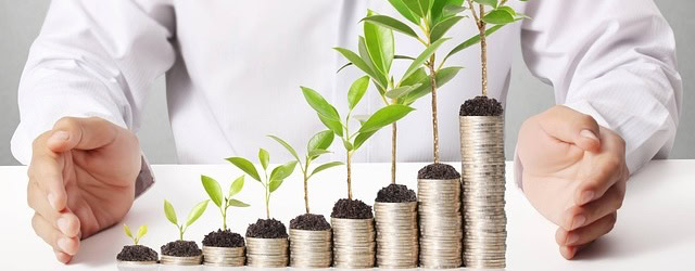 Hands protecting stacks of coins with plants growing on top